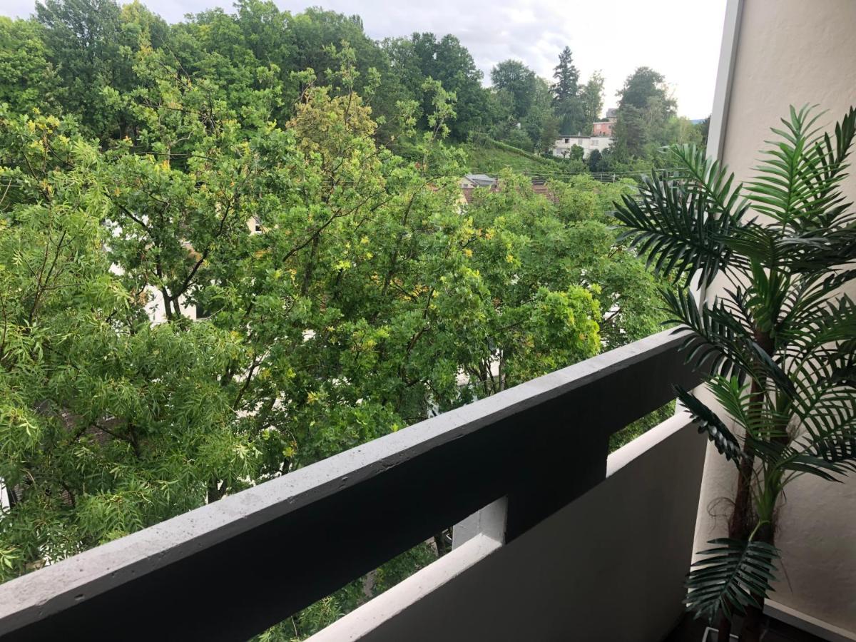 Wanderlust Apartment بادن بادن المظهر الخارجي الصورة
